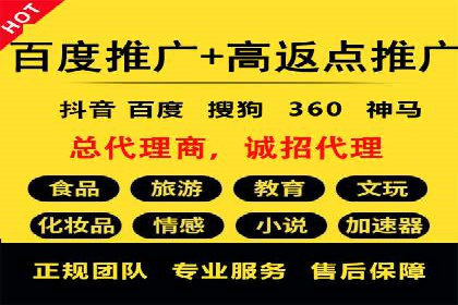 SEM搜索引擎优化案例：如何提升网站流量和转化率