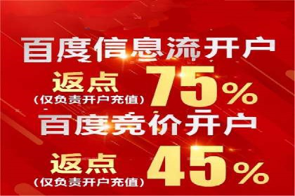 百度推广在电商行业的应用案例分析